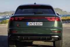 Audi Q8 2023 - foto 6
