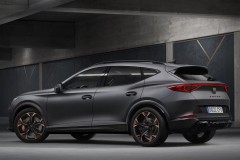 Cupra Formentor 2020 - 2024 foto 2