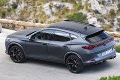 Cupra Formentor 2020 - 2024 foto 3