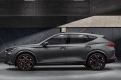 Cupra Formentor 2020 - 2024 foto 4