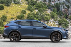 Cupra Formentor 2020 - 2024 foto 5
