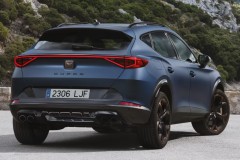 Cupra Formentor 2020 - 2024 foto 6