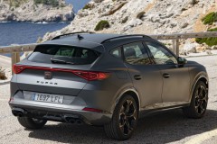 Cupra Formentor 2020 - 2024 foto 7