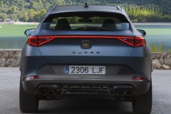 Cupra Formentor 2020 - 2024 foto 8