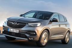 Opel Grandland 2017 - 2021 foto 10