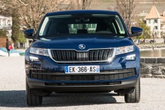 Skoda Kodiaq 2016 - 2021 foto 2