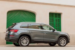 Skoda Kodiaq 2016 - 2021 foto 5